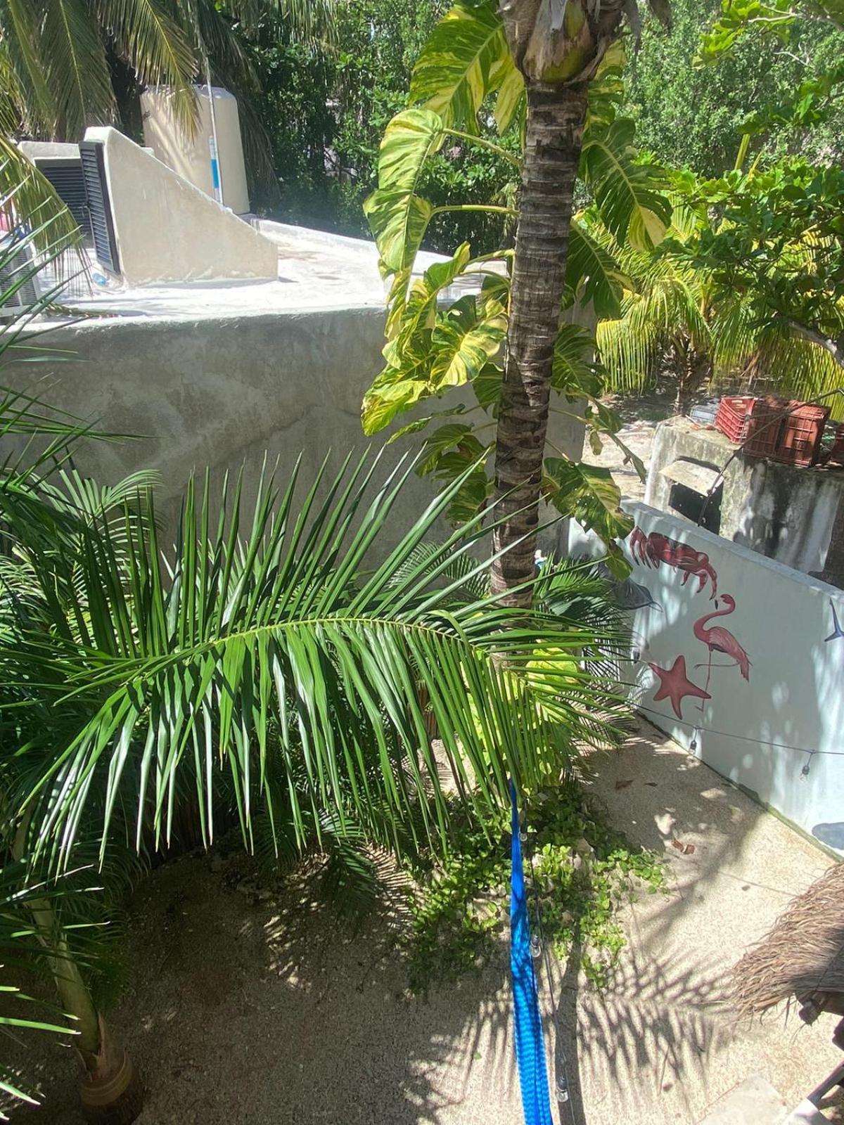 Hotel Pelecanus Suites Holbox Экстерьер фото