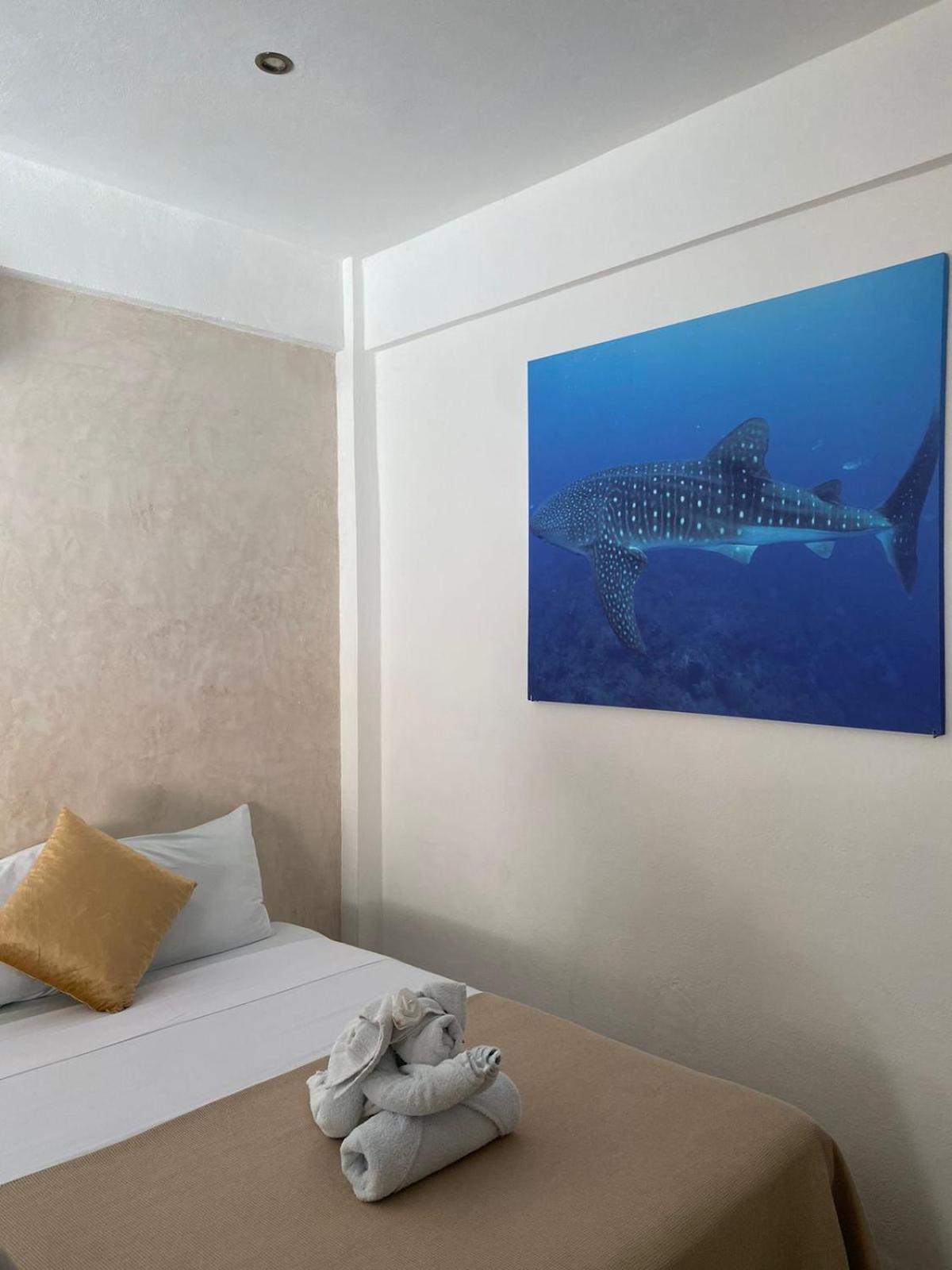 Hotel Pelecanus Suites Holbox Экстерьер фото
