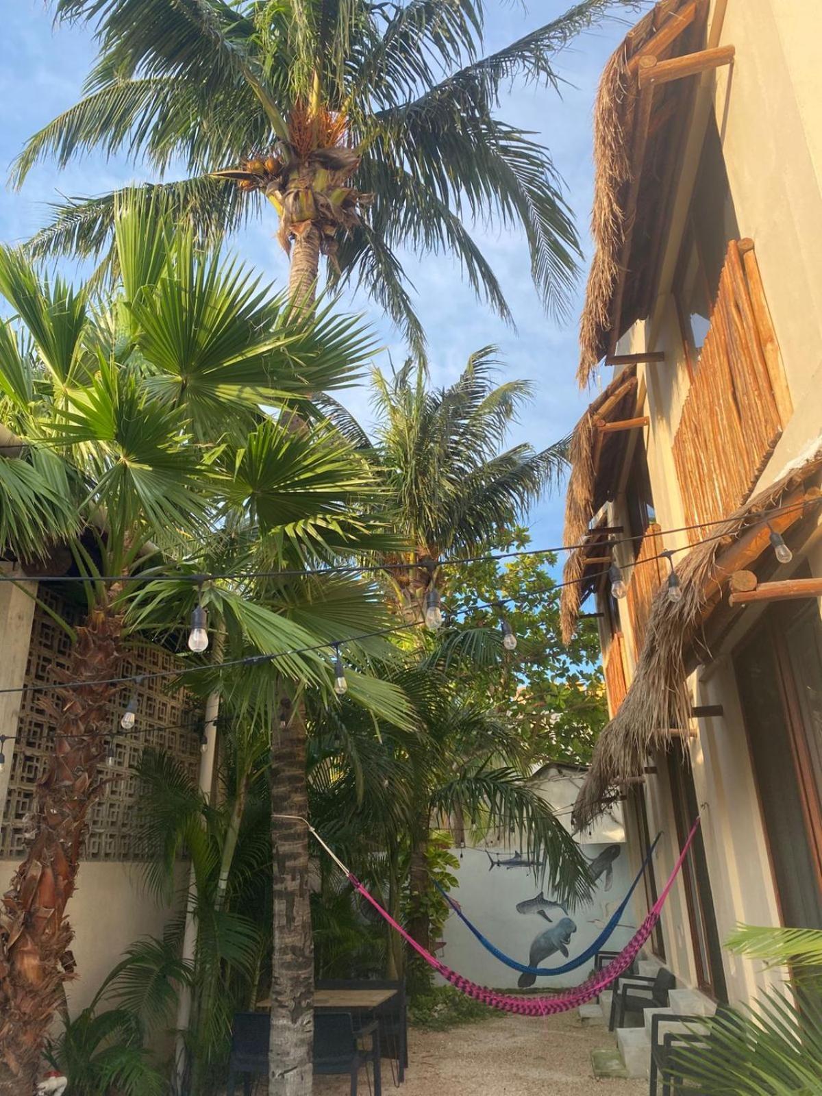 Hotel Pelecanus Suites Holbox Экстерьер фото